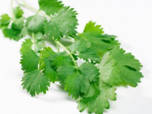 ��Щ�˲��˳���� ����˵ĺô�