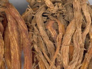 ��ҩ�����ݵ�ҩ�ü�ֵ �����������˺�����