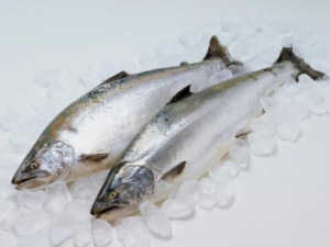 Ů�Գ���Щʳ������������