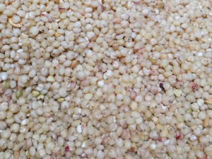 ��������Щ��ͬ�Է� ��Щ�˲��ʺϳԴ���