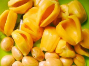 �����ۺ˵Ĺ�Ч������ �����ۺ��ܲ���Ӫ��