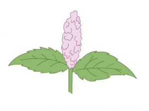 ���Ը��������ƺ��� �������Ը��׵�ƫ��