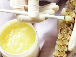 ��γԷ����� �������ı��淽��