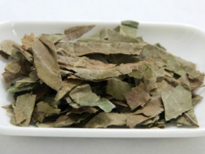 �������ô�� �����Ӧ���������