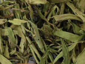 ���Ҷ��ʲôһ����� ���Ҷ����Щ����