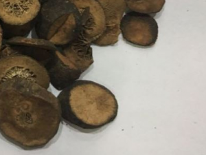 ����ʵ����Щ��Ч ����ʵ����÷�