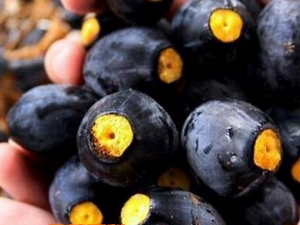 ����魵Ĺ�Ч������