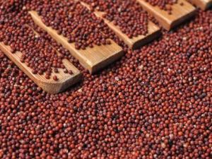 Ѽ���ڵĹ�Ч������ �ӻ�Ƥ��˥��