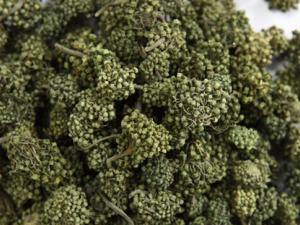 ���߻��Ĺ�Ч������ ���߻��ܽ�Ѫѹ��Ѫ֬