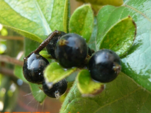 ��������ʵ������ ��������ʵ������������