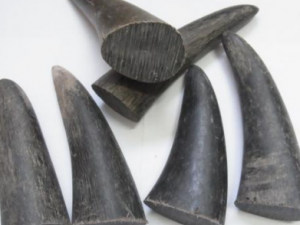 ��ˮţ�ǵĹ�Ч������ ���������ѷ�