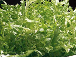 �и����ԳԿ���� ��յĹ�Ч������