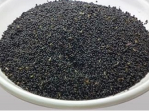 �����ӵĹ�Ч������ �����ӵ�ҩ������