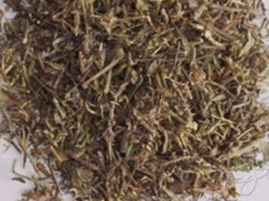 ǧ���ӵ��ٴ�Ӧ�� ǧ���ӵ�ע������