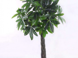 �в����Ĺ�Ч�������в����ż���������