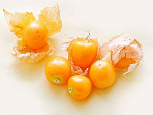 �̵��������9����Ч