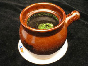 ����Ҷ��ˮ������Щ����