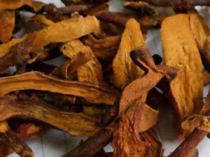 ���߽��Ĺ�Ч������ ����������ʹ