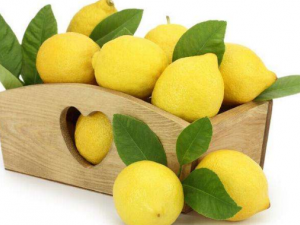 ����ɹ����ô�� ɹ�ڱ�������