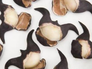 ��ǿǵĹ�Ч������ ��ǿ��п�������