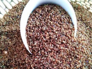 �������Ĺ�Ч������ ���Խ�Ѫ��