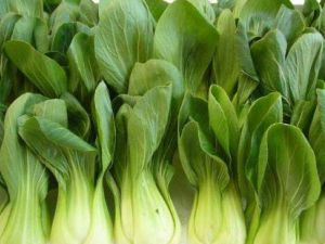 �̵���߲˵�12������