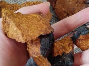 ��������ˮ��ʲô��Ч ��������ˮ������������