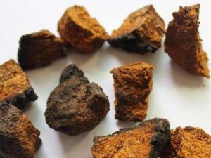 ������Ĺ�Ч������ ������������ֹ��