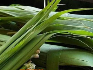 ��Ҷ�Ĺ�Ч������ ��Ҷ���ӻ�˥��