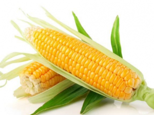 ��Щ�˲��ܳ����� ����������Щ����