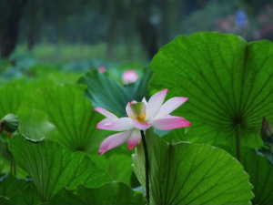 ����6������ļ�����ʳ��