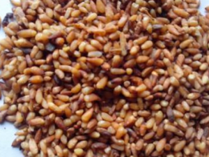 �Ȳ�����Щ�ô� �Ȳ��ܰ��������