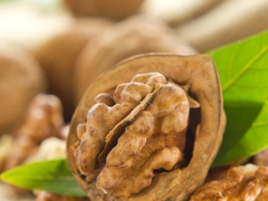 �ȹ�֦��������������ô� �ȹ�֦�����������η�ʪ����