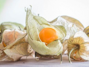 �������Ӫ����ֵ����Щ �Թ�����Ľ���