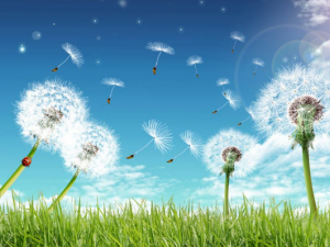 ѹӢȽⶾЧ һ˽һ°