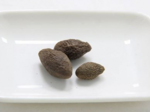 ִ󺣵ĽȺЩ ʺЩⷽ