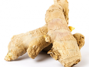 �����ݽŵĹ�Ч �����ݽ�����Щ�ô�