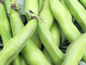 �Һ����Ĺ�Ч������ �Һ��������峦�Ŷ�