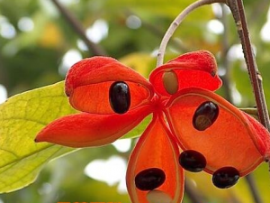 ���۹��Ĺ�Ч������ ���۹�����߼�����