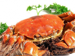 �з���˳��˻��ж���