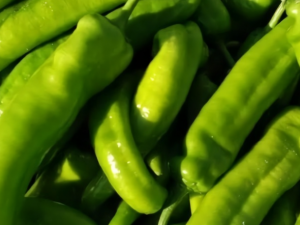 ��ʳ�������  ����������������