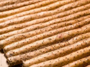 �＾�������� �＾�������Զ��ɽҩ