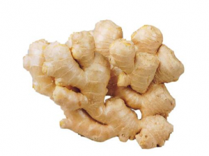 ��������Щ���� ������ʹ�÷���