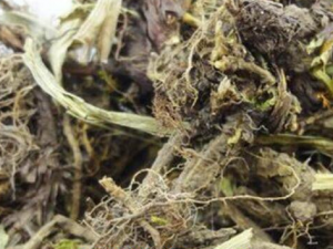 ����ɵĹ�Ч������ ����ɿ����򾲰���