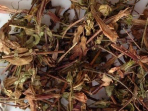 ��Ҷ���ݵĹ�Ч������ ����Ԥ����ð