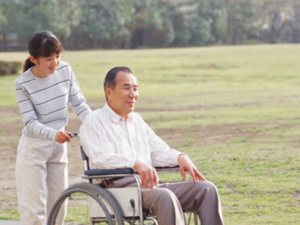 ���������ʳ������������