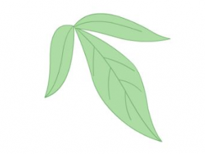 ���㻯ʪҩ��ʲô ������Щ���㻯ʪҩ