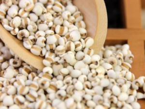 ޲������Щ���� ��γ�޲������