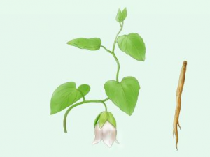 �ľ���������Щ��Ч �ľ��������β��鷽