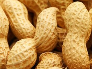 ���������Щ�˲��ܳ� ��֪����